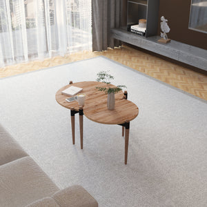 Couchtisch Kristinestad mit 2 Tischplatten Natur [en.casa]