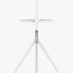 TV-Halterung Valle max. 65 Zoll [pro.tec]