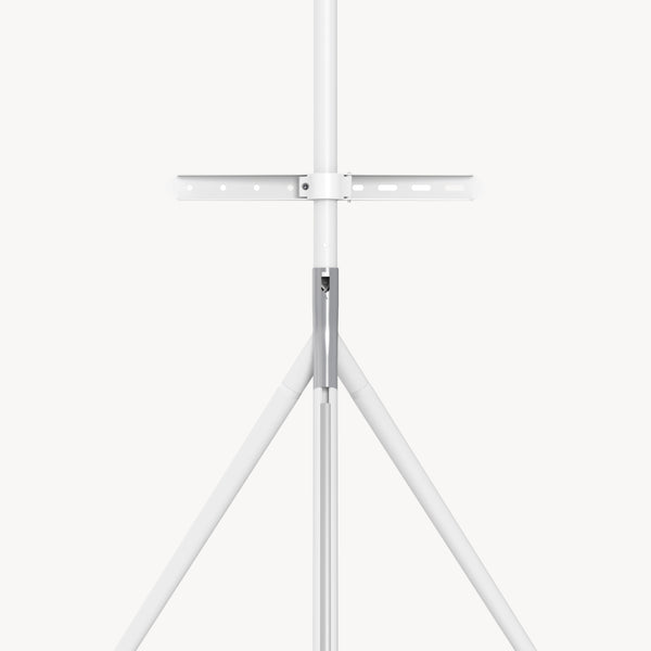 TV-Halterung Valle max. 65 Zoll [pro.tec]