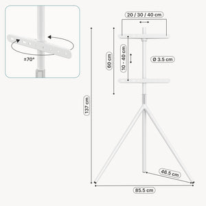 TV-Halterung Valle max. 65 Zoll [pro.tec]