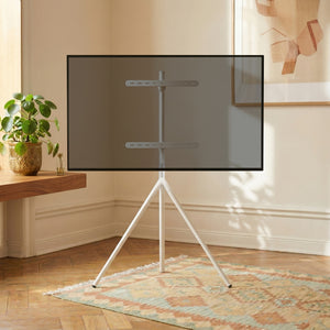 TV-Halterung Valle max. 65 Zoll [pro.tec]