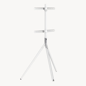 TV-Halterung Valle max. 65 Zoll [pro.tec]