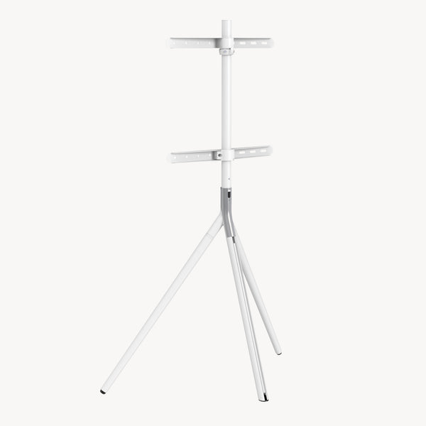 TV-Halterung Valle max. 65 Zoll [pro.tec]