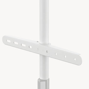 TV-Halterung Valle max. 65 Zoll [pro.tec]
