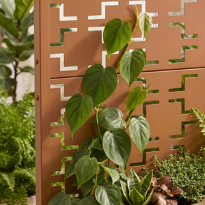 Trennwand Aaskis mit Blumenkasten [casa.pro]
